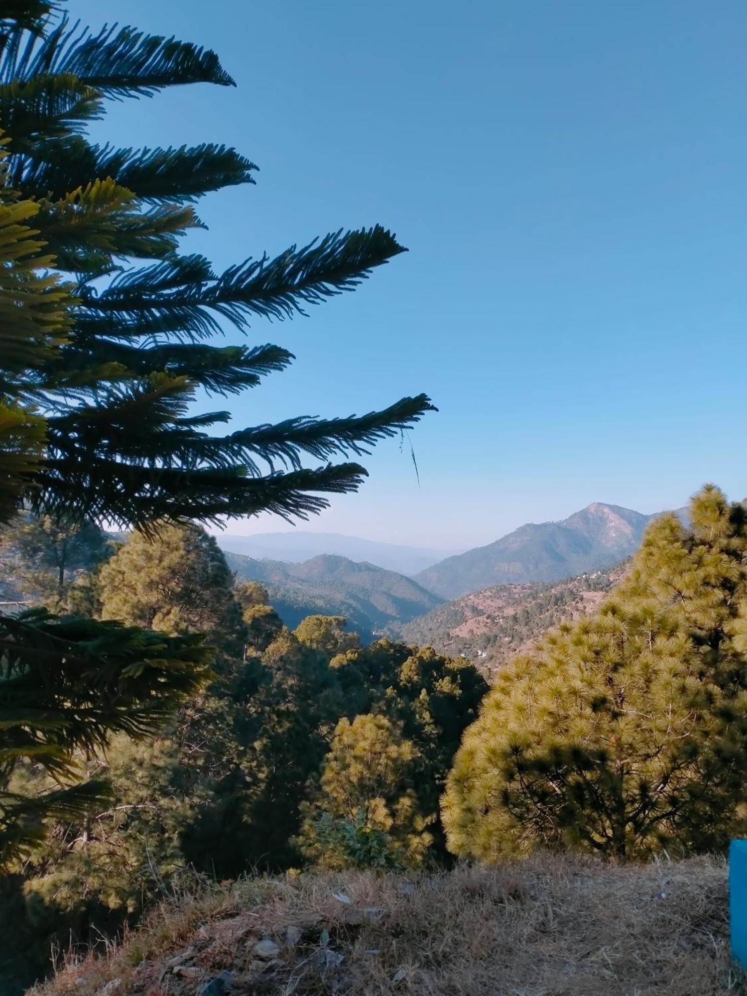 Shree Home Stay Dwarahat Exterior photo